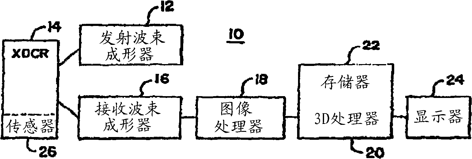 Extended volume ultrasound data display and measurement