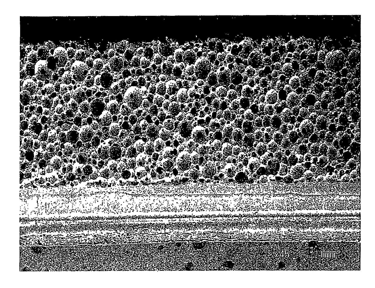 Polishing pad and a method for manufacturing the same