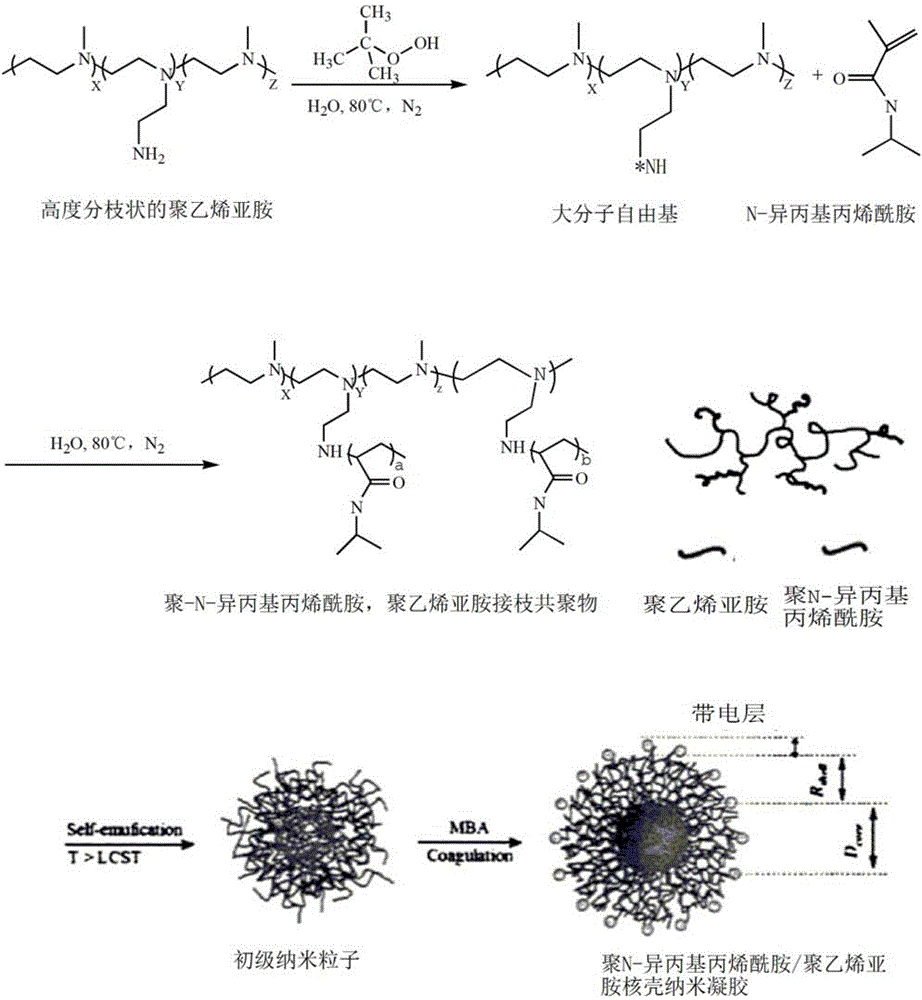 Temperature targeting-based nanogel gene delivery compound, and preparation method and application thereof