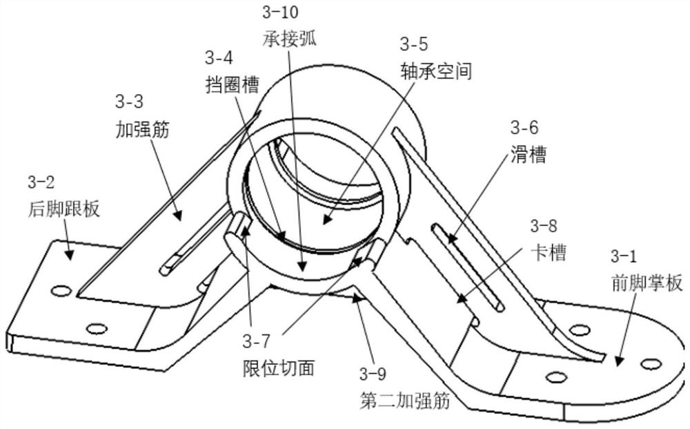 Robot passive foot with controllable angle and robot using the passive foot