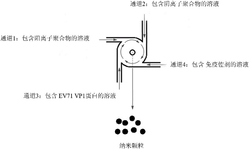 Nanoparticle containing EV71VP1 protein and preparation method of nanoparticle