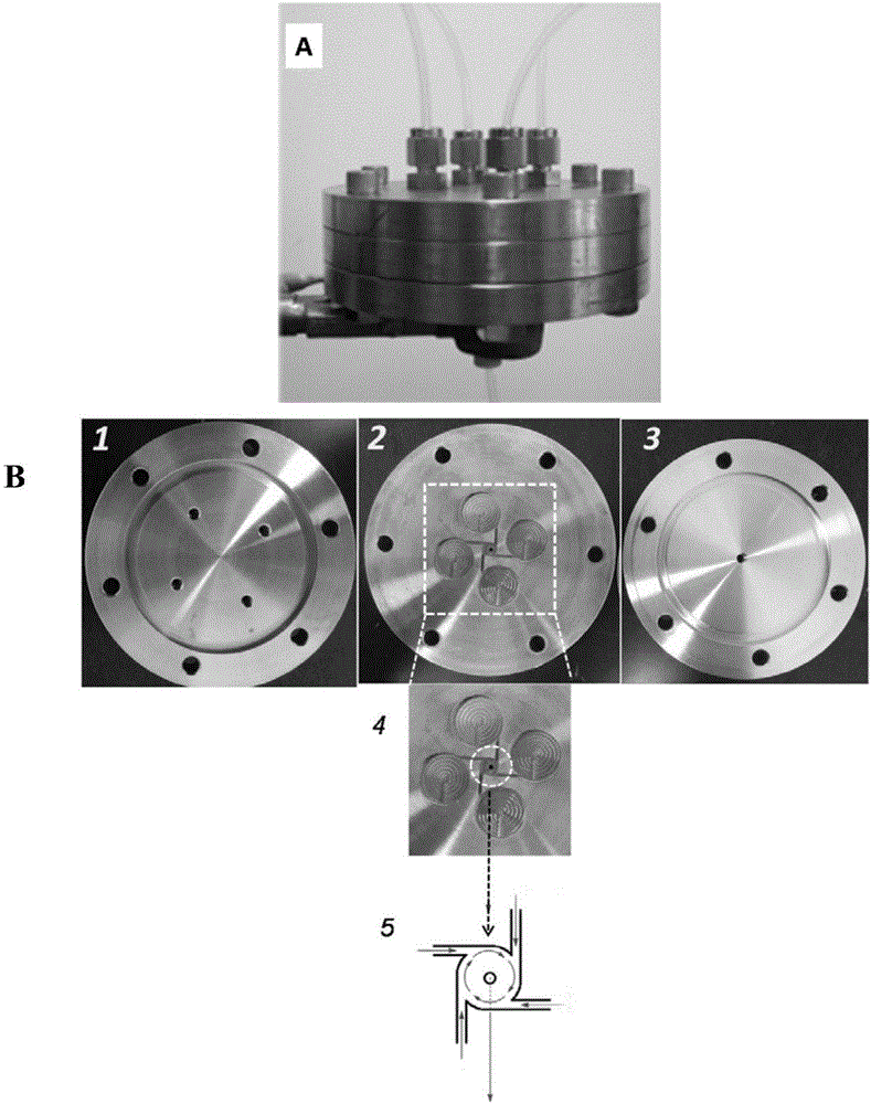 Nanoparticle containing EV71VP1 protein and preparation method of nanoparticle