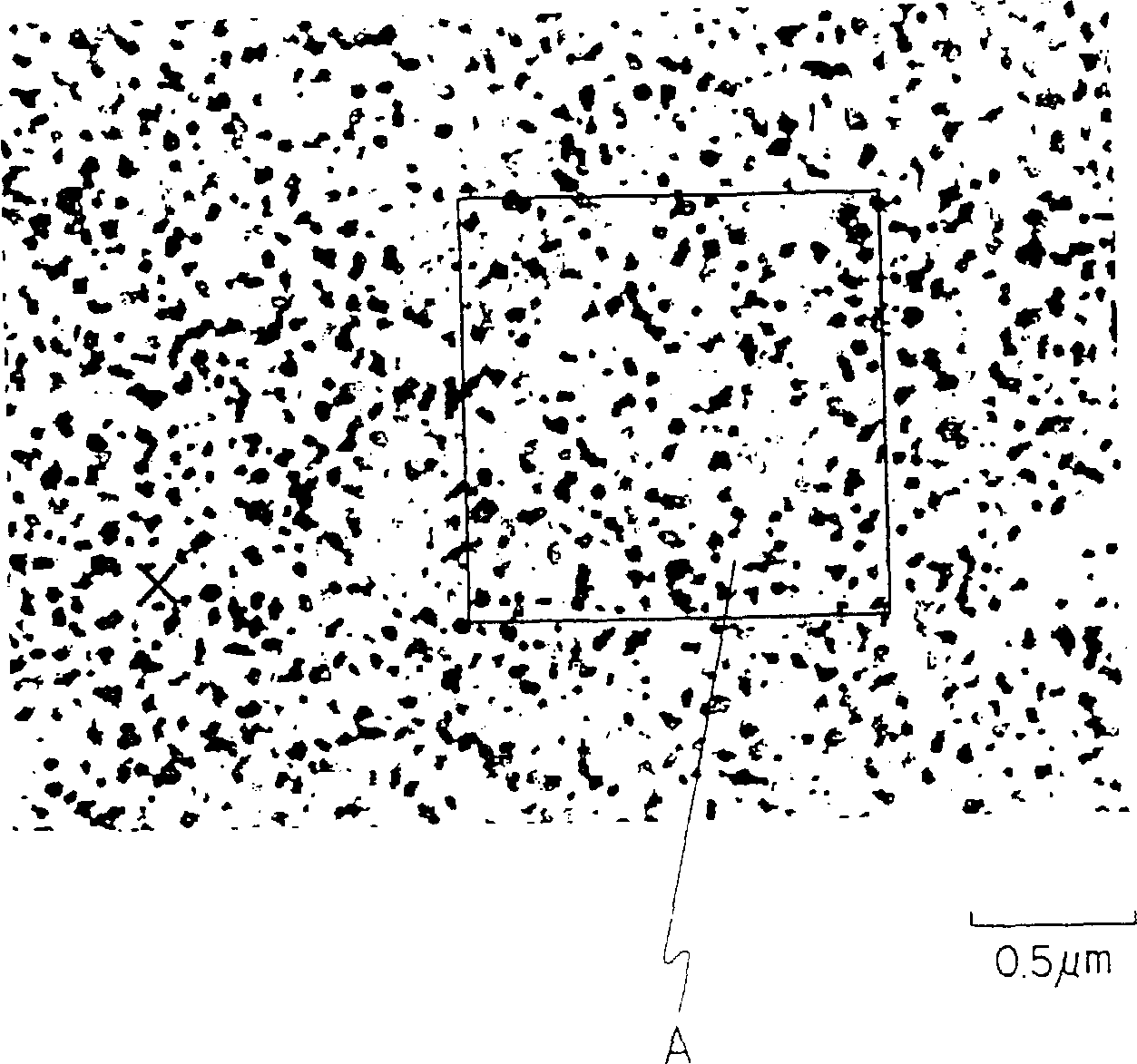 Expandable polystyrene resin beads, process for the preparation of them, and foam made by using the same