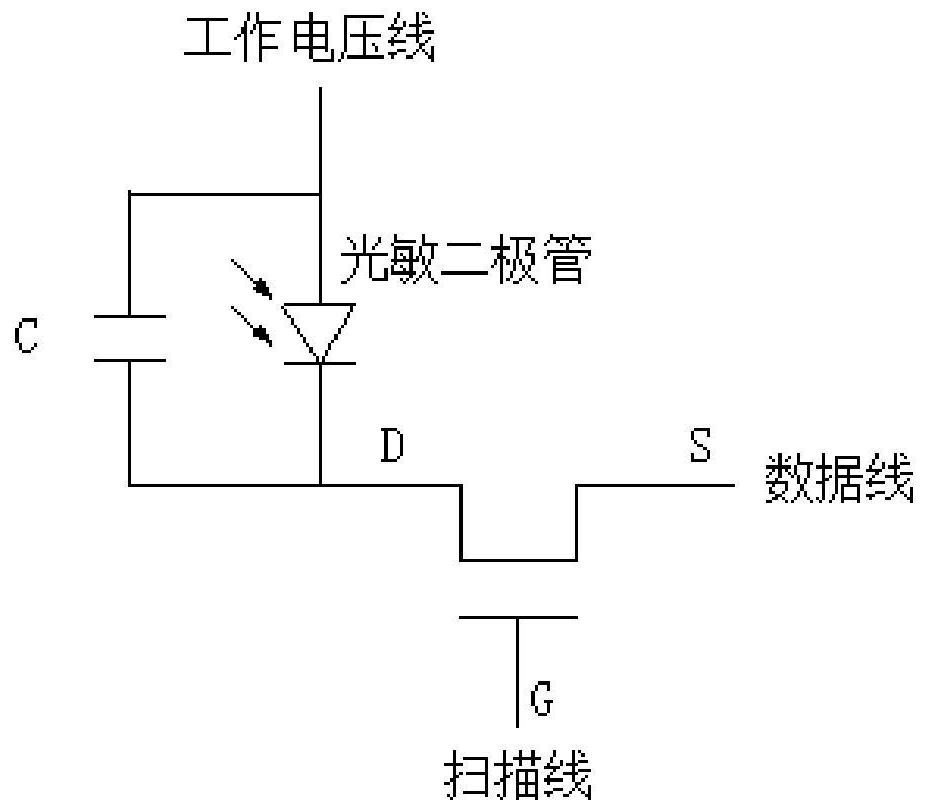 A module supporting full-screen fingerprint recognition, a terminal device, and a fingerprint recognition method