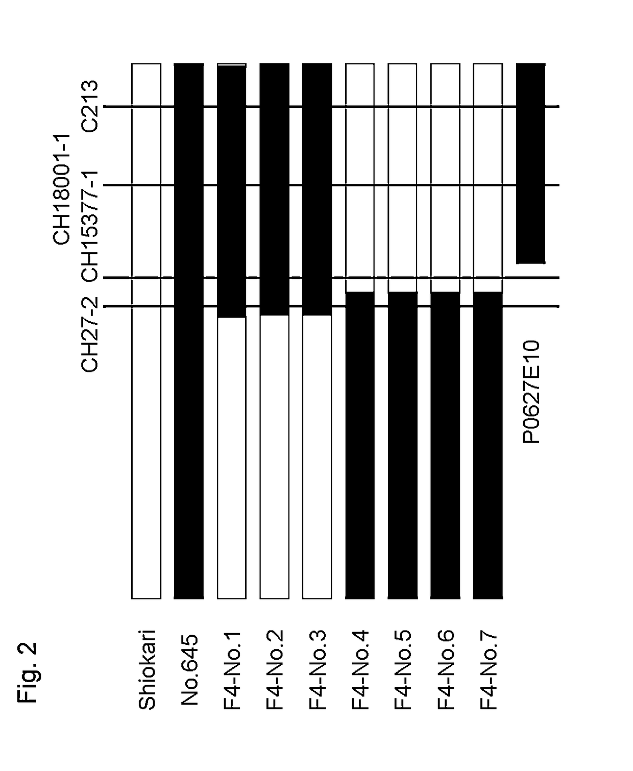 Nucleic acid imparting high-yielding property to plant, method for producing transgenic plant with increased yield, and method for increasing plant yield