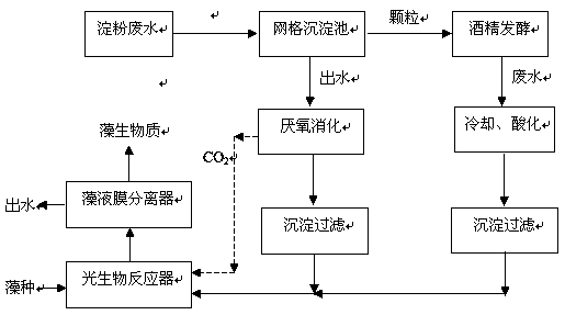 Method for cultivating chlorella by utilizing anaerobic fermentation broth of starch processing wastewater