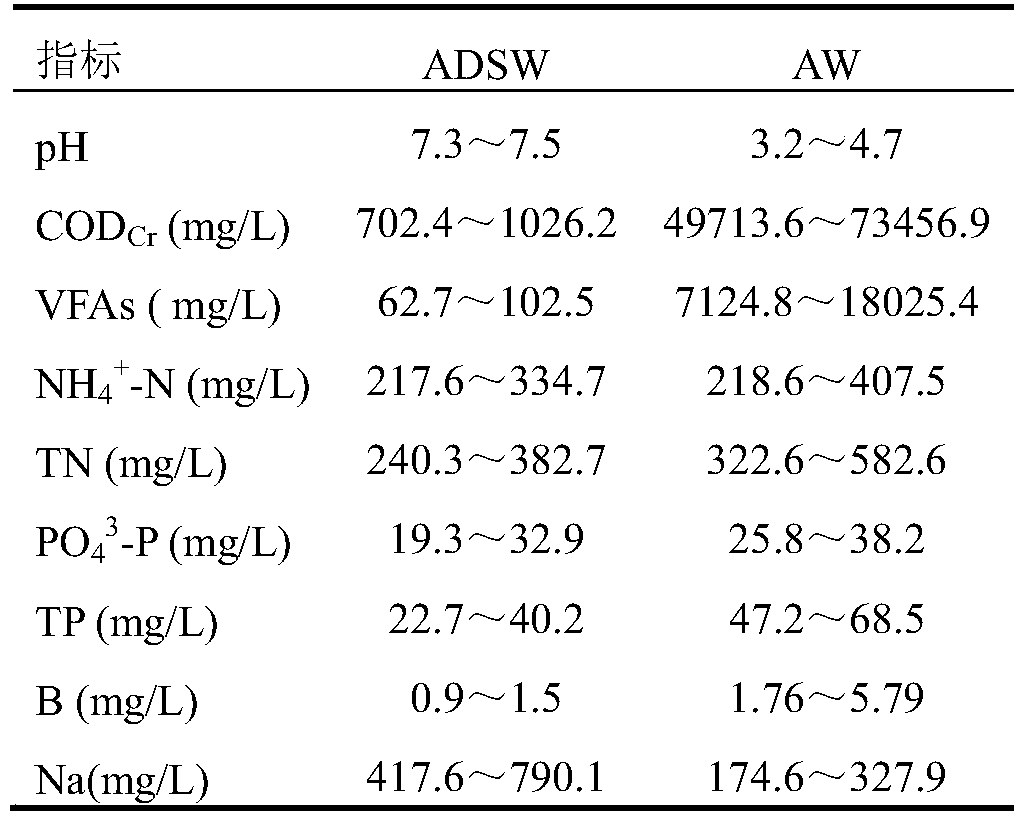 Method for cultivating chlorella by utilizing anaerobic fermentation broth of starch processing wastewater