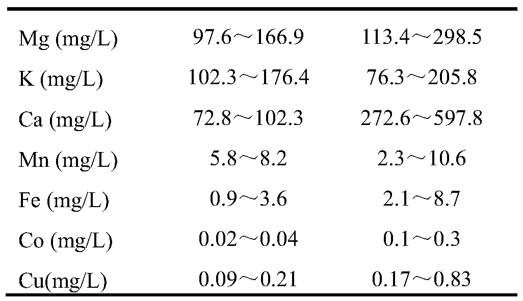 Method for cultivating chlorella by utilizing anaerobic fermentation broth of starch processing wastewater