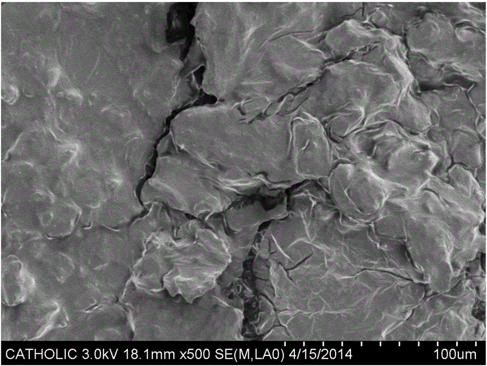 Biologically-synthesized resin capable of controlling interfacial compatibility and application thereof