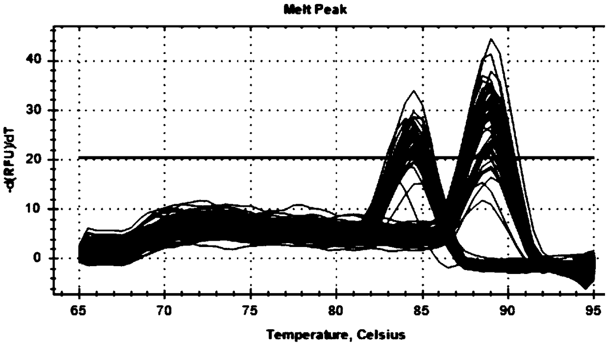 Detection method of goat MYLK4 gene CNV marker and application thereof