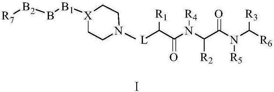 Piperidine or piperazine based dipeptide compounds as well as preparation method and application thereof