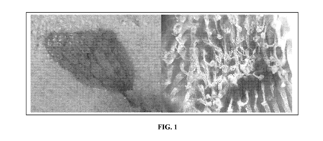 Compositions and methods to selectively control species