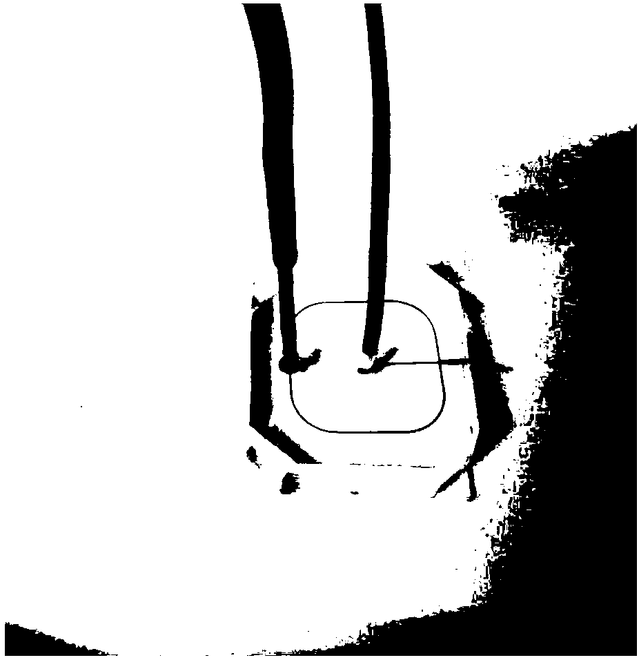 Method for preparing drug-carrying nanoparticles of core-shell structure