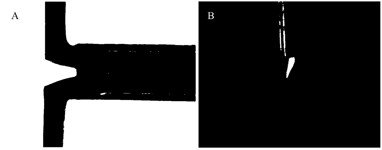 Method for preparing drug-carrying nanoparticles of core-shell structure