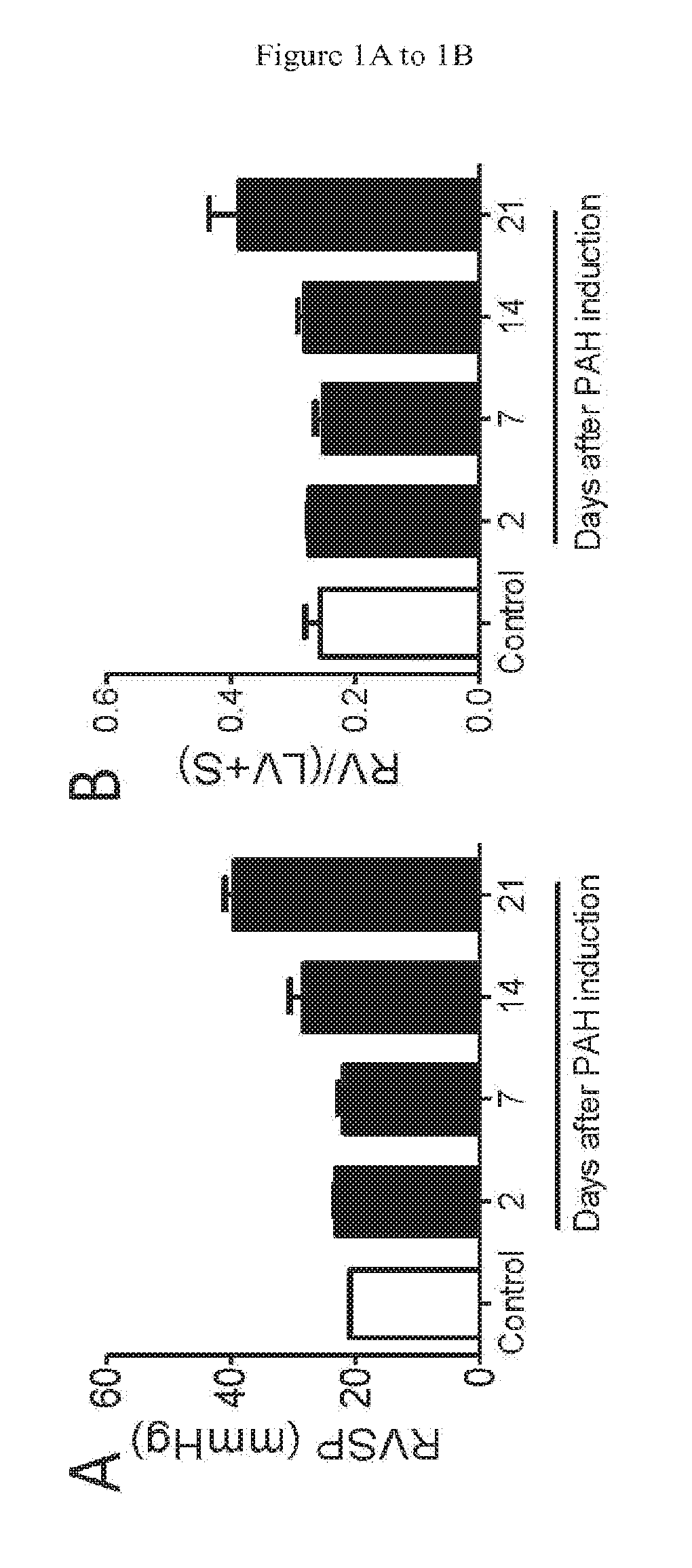 Compositions and methods for treating pulmonary hypertension