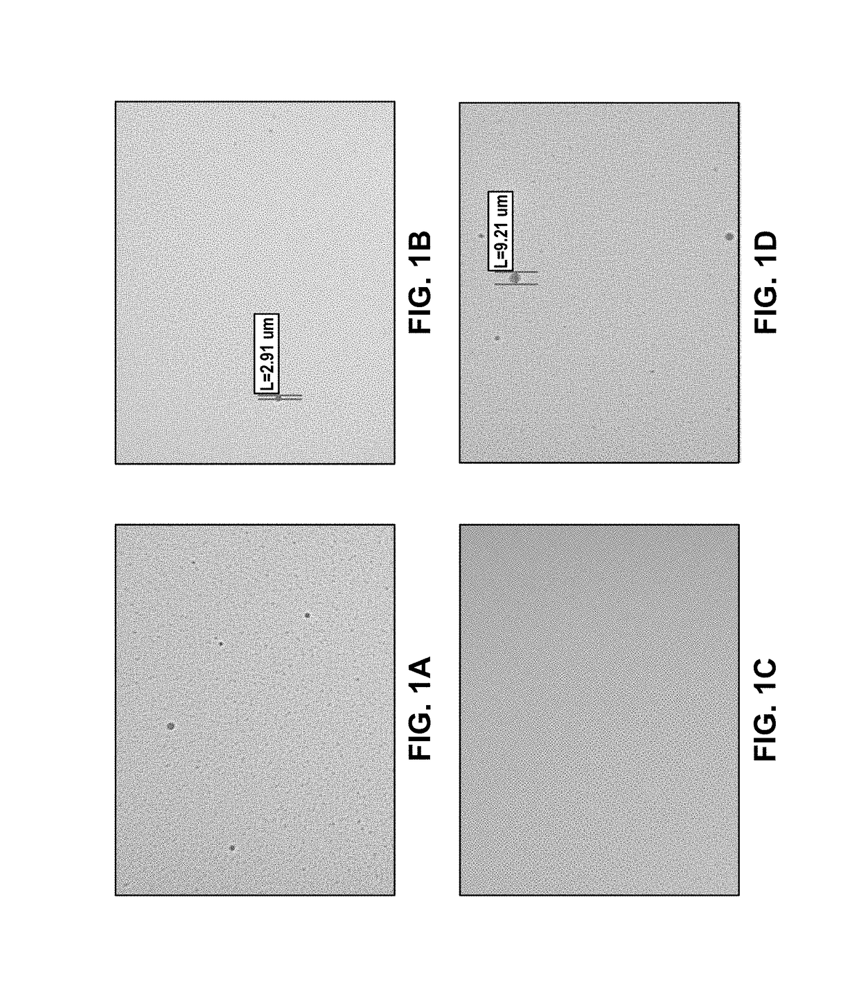 Emulsion formulations of an nk-1 receptor antagonist and uses thereof