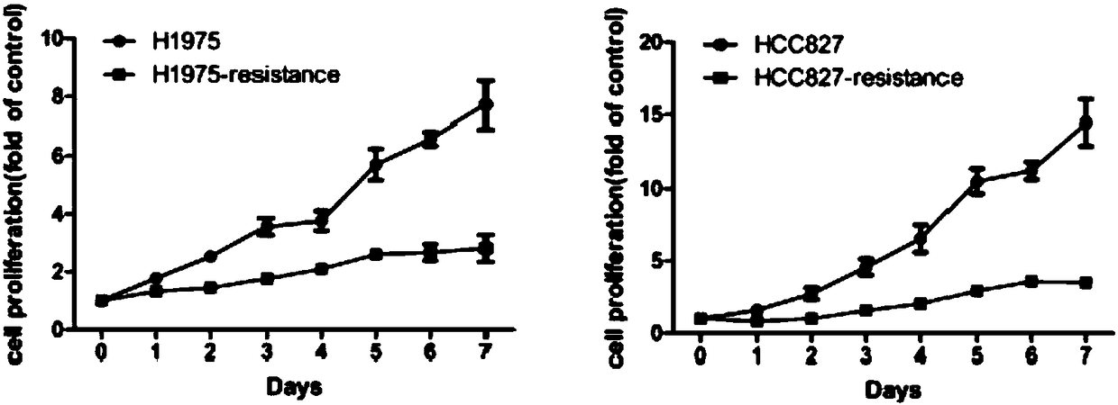 Drug-resistance cell system for lung cancer and preparation method thereof