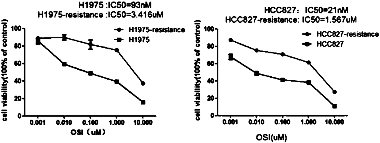 Drug-resistance cell system for lung cancer and preparation method thereof