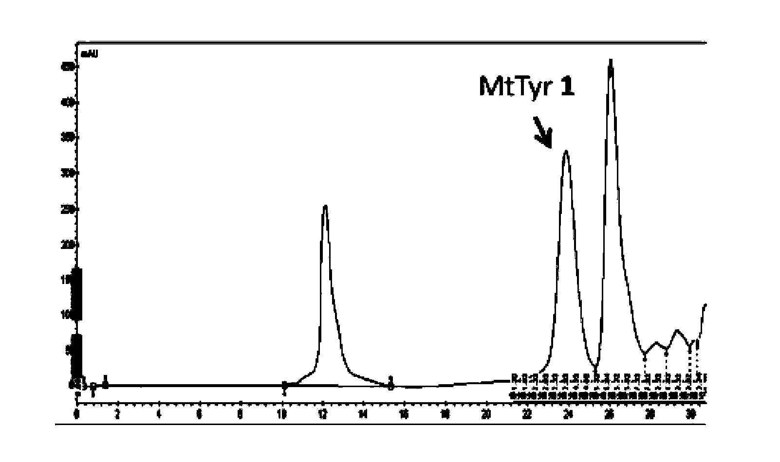 3-methylthio tyrosine translation system and application thereof