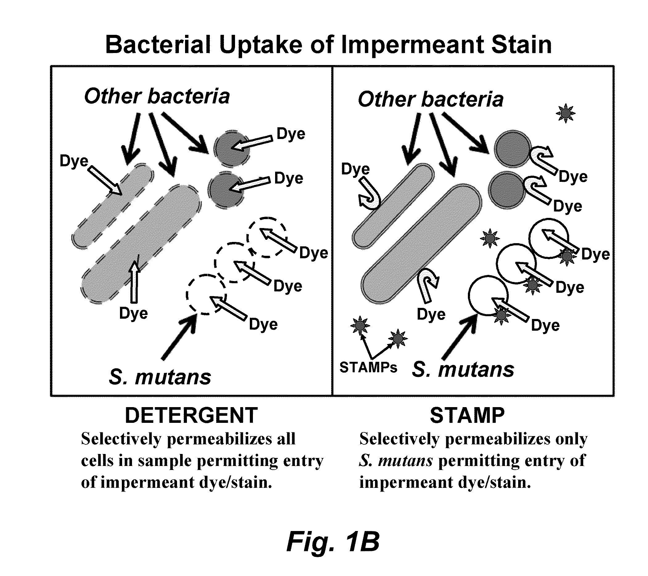 Methods and devices for the selective detection of microorganisms