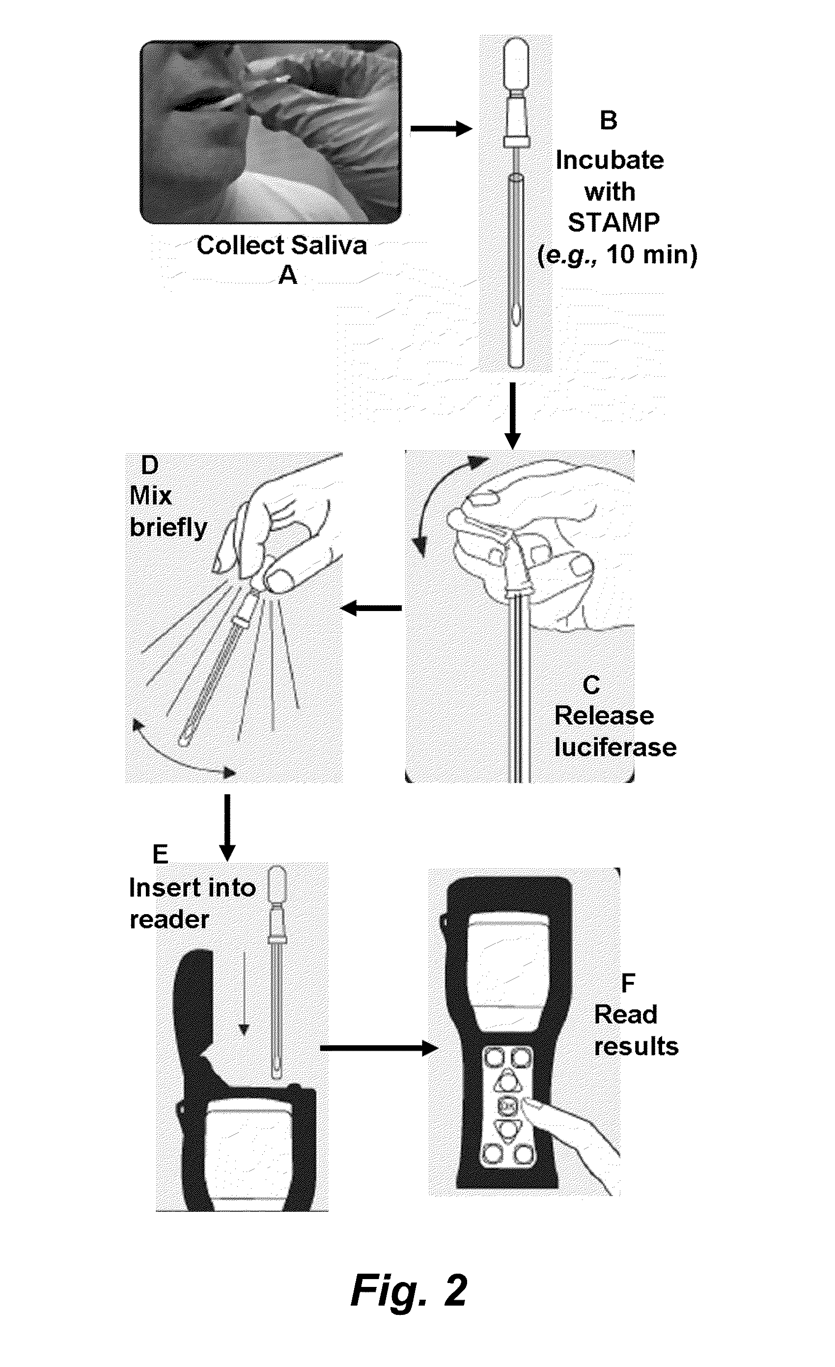 Methods and devices for the selective detection of microorganisms