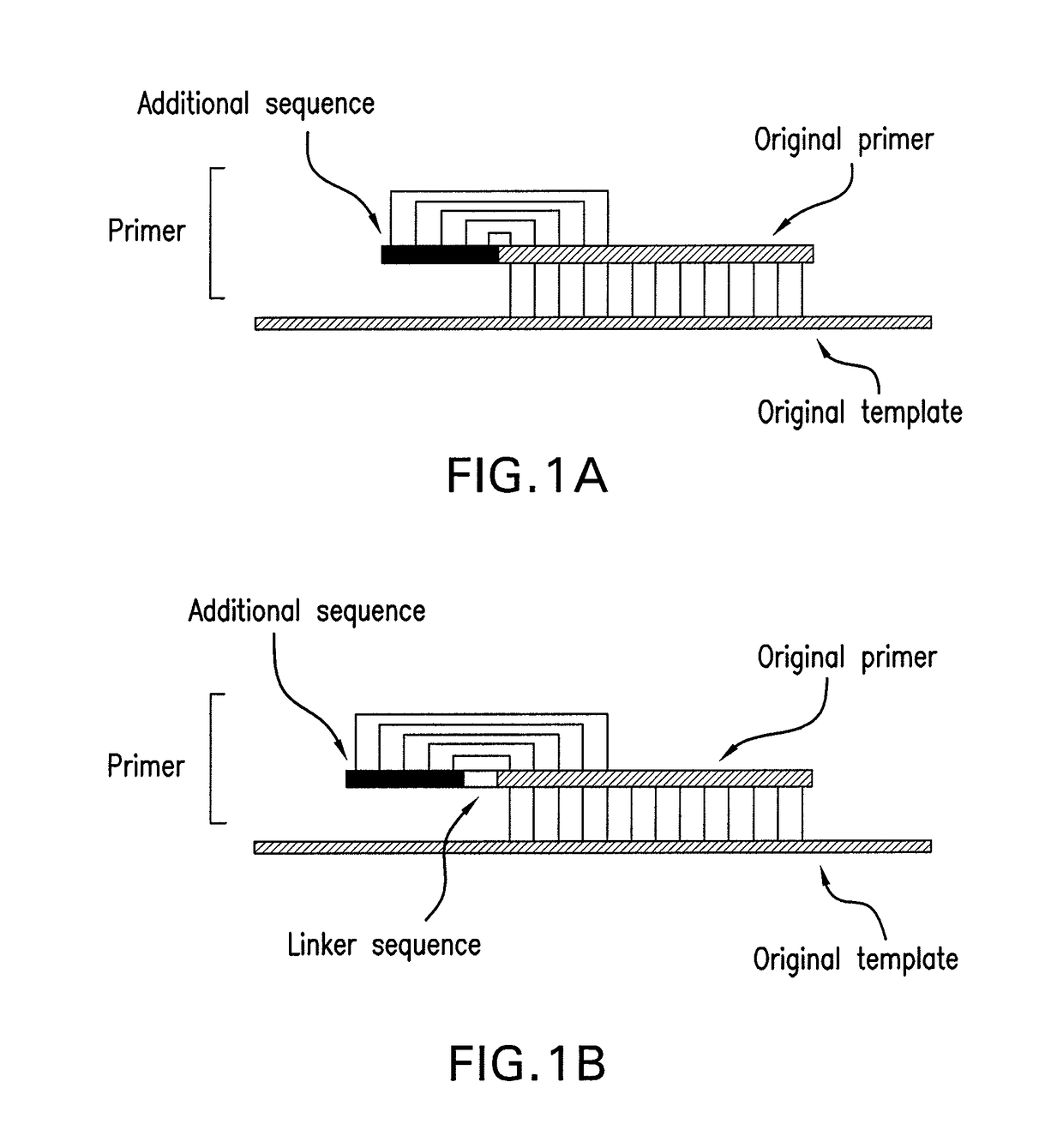 PCR primer capable of reducing non-specific amplification and PCR method using the PCR primer