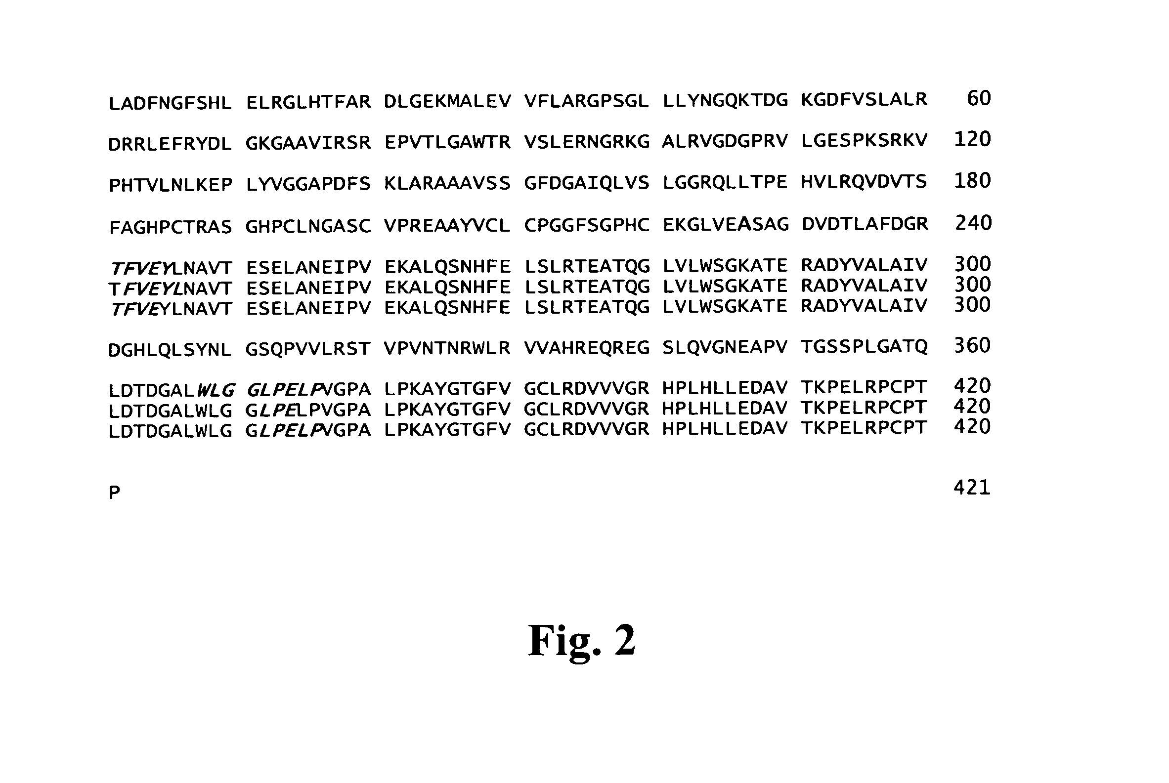 Method for the production of hybridoma cell lines producing monoclonal antibodies capable to specifically binding to a human c44-fragment of agrin