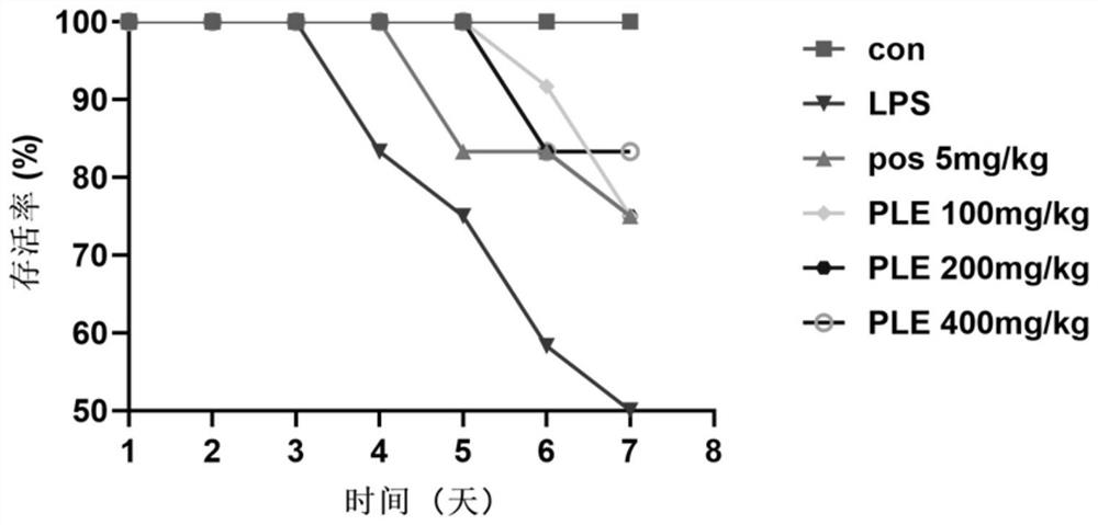 Application of perilla leaf extract in preparation of medicine for preventing and treating acute lung injury