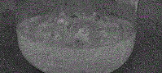 A Screening Method for Using Xylose Isomerase Gene in Peanut Genetic Transformation