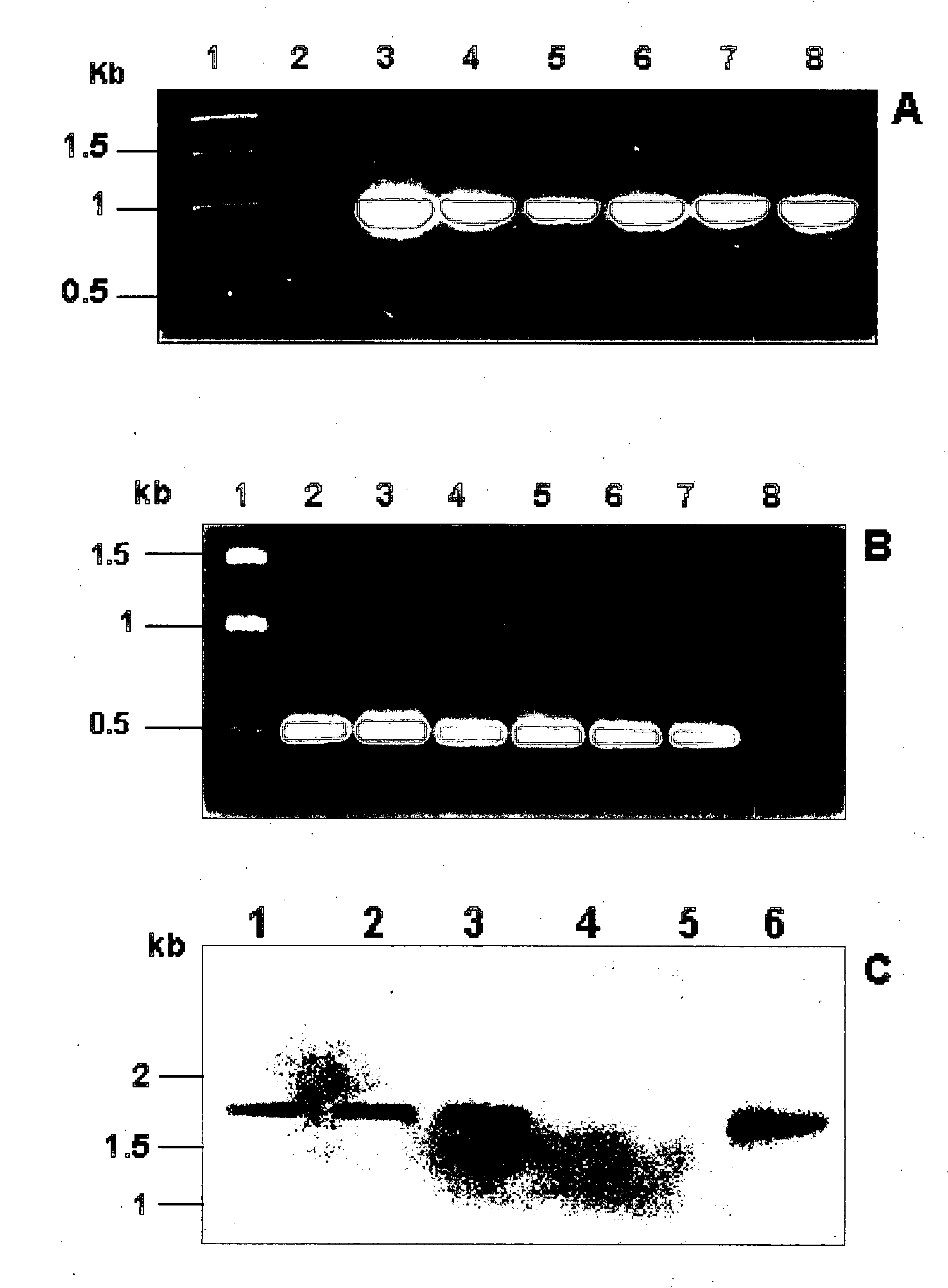 Method and composition for increasing plant survival & viability under cold storage, or dark and cold storage conditions