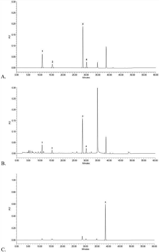 A method for the detection of Dilong injection based on the determination of phenol