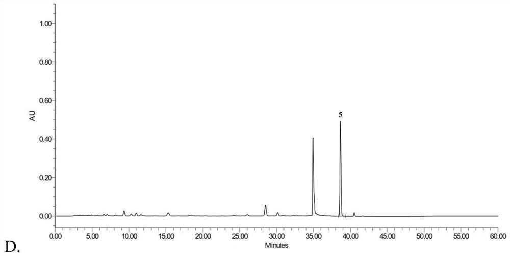 A method for the detection of Dilong injection based on the determination of phenol