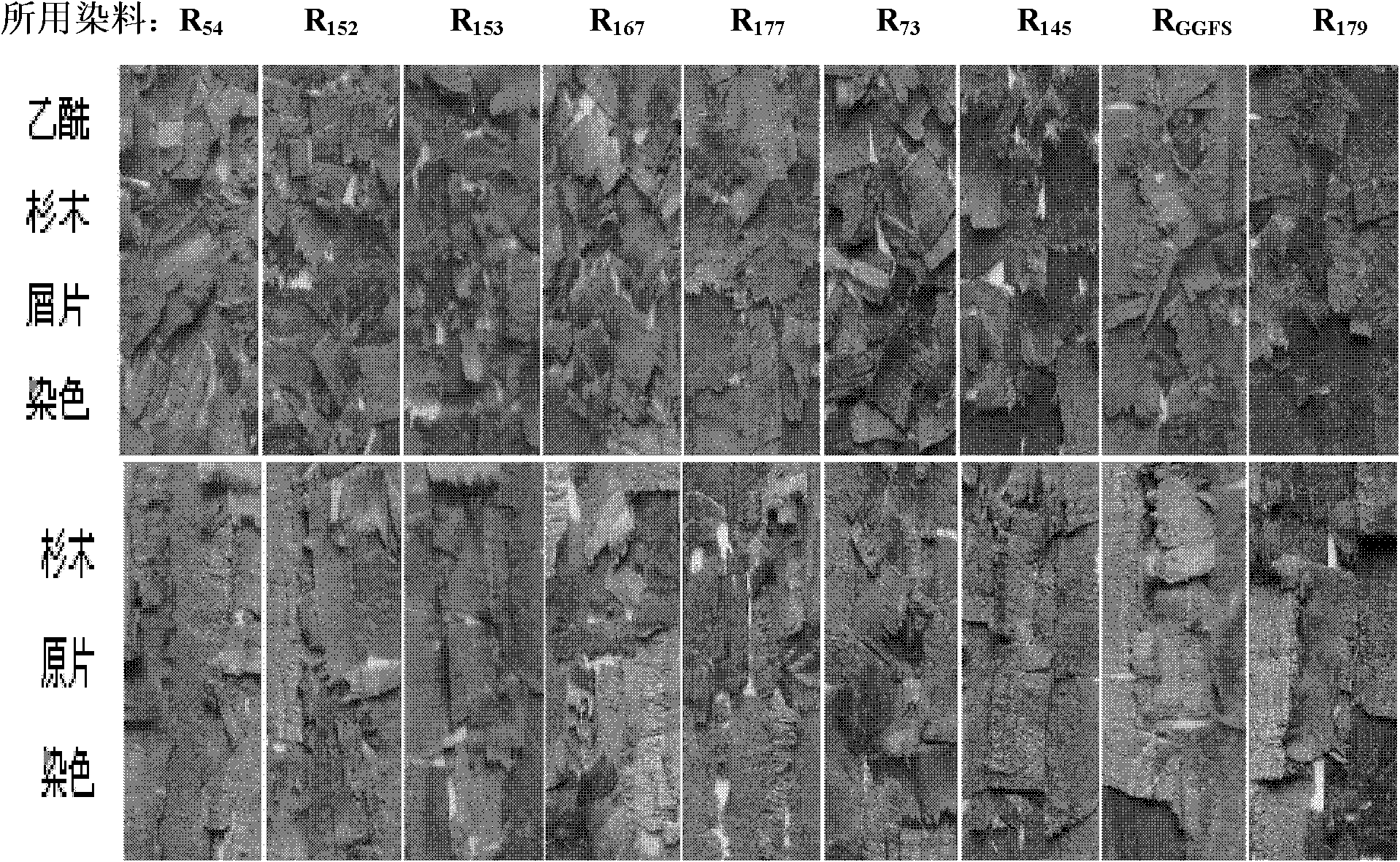 Red washable timber and preparation method thereof