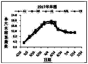 Double cropping rice yield increase method