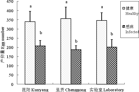 Pest repellent containing dodecanol and preparation and application methods thereof