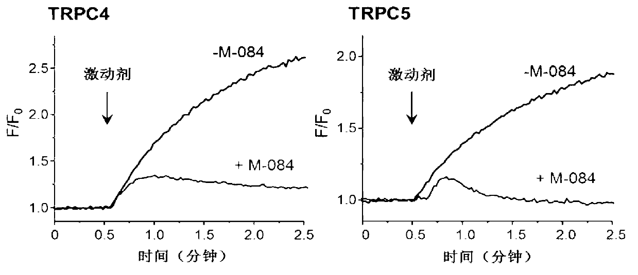 Benzimidazole and derivative thereof, and medicinal composition and application thereof in preparation of antidepressant medicaments