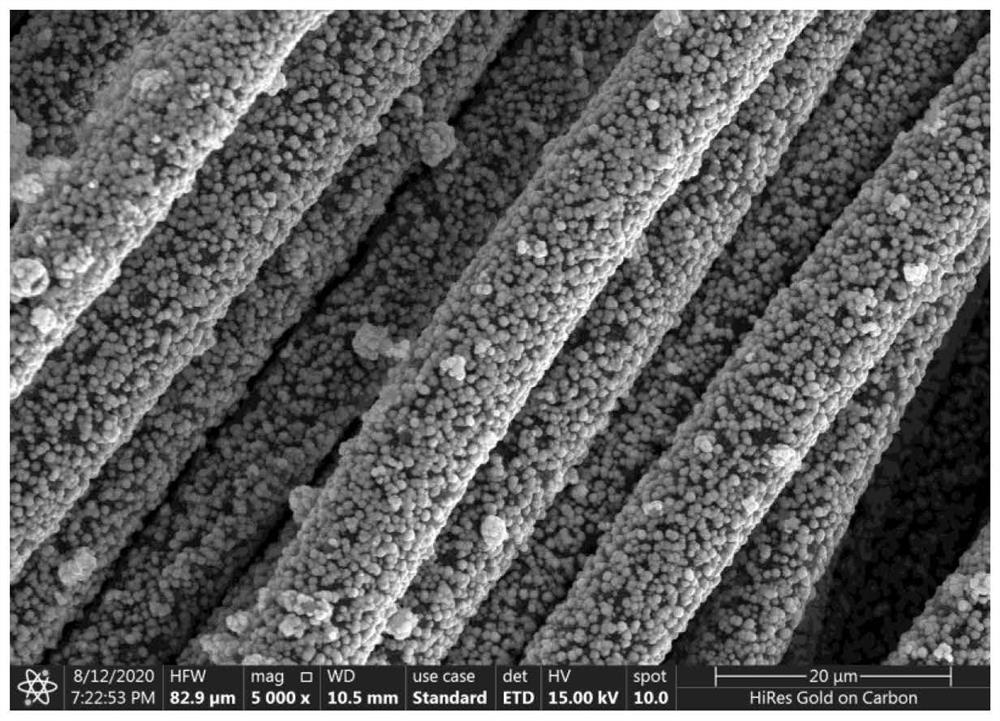 Flexible positive and negative electrode material for high-performance magnesium-lithium double-salt ion battery and preparation method thereof