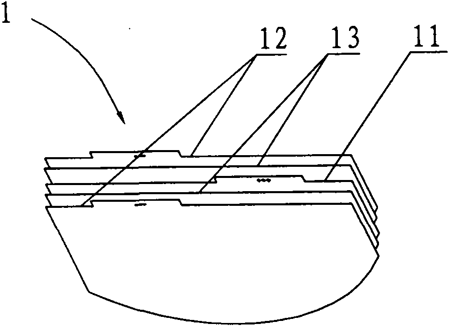 Heteromorphic high-rate polymer lithium ion battery