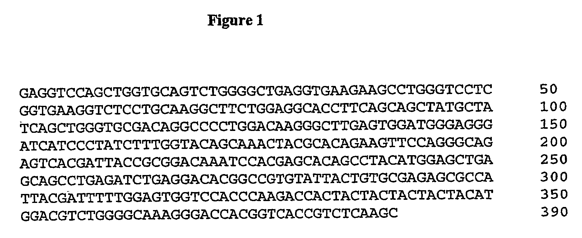 Fully human antibodies directed against the human insulin-like growth factor-1 receptor