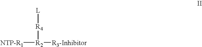 Nucleotide analogs