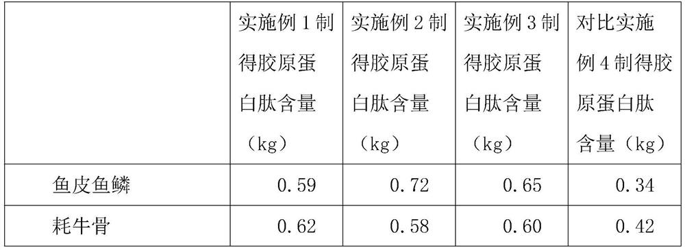 Collagen peptide wound dressing and preparation method thereof