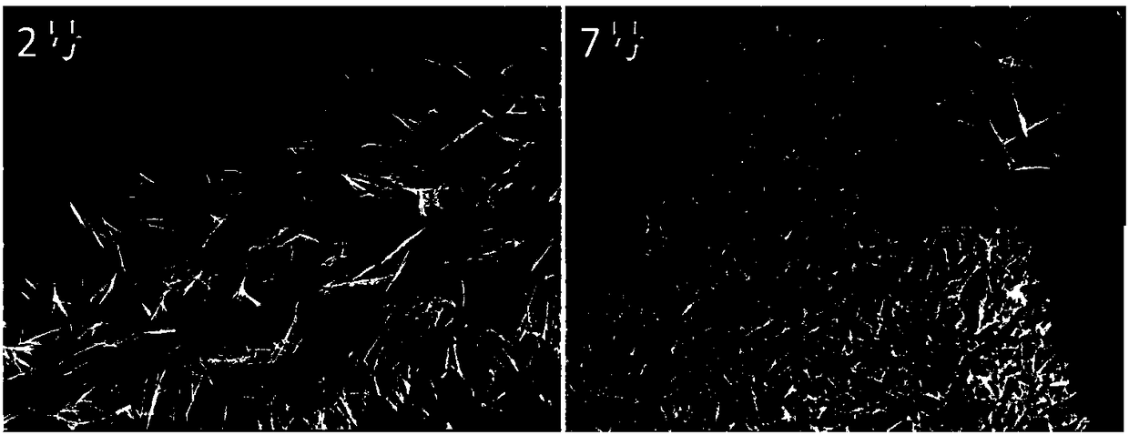 Oxygen defect-rich ultrathin nickel cobalt oxide nanosheet electrode array and preparation method thereof