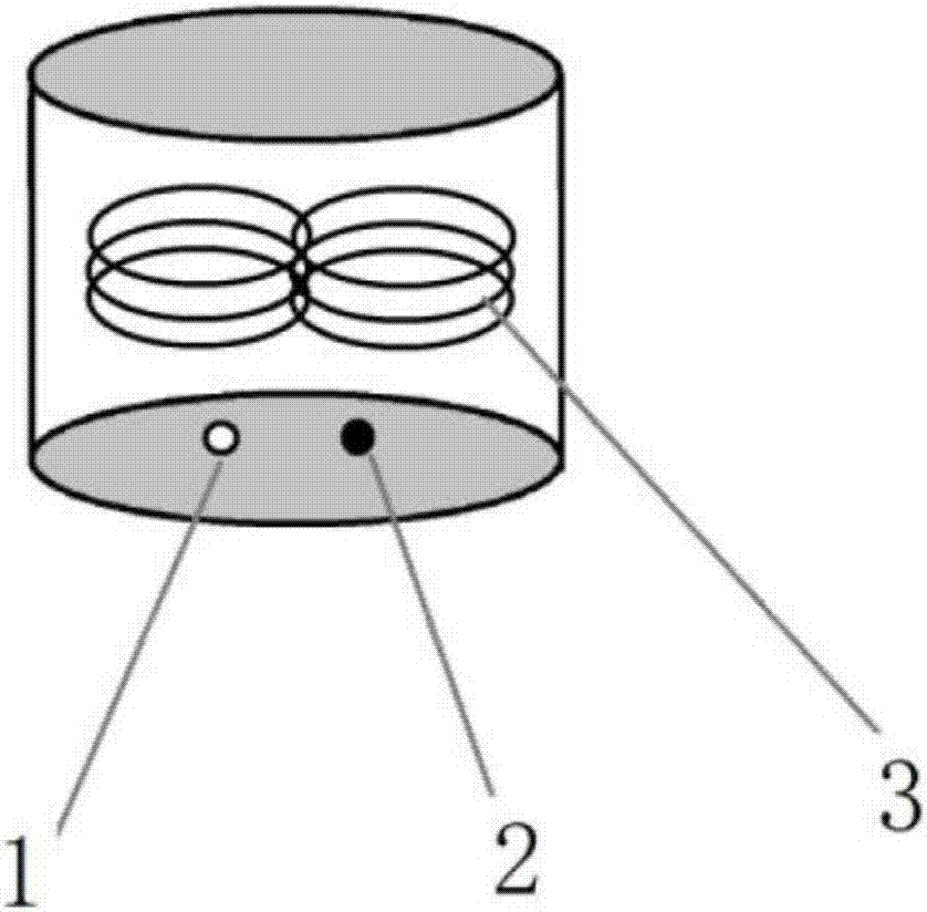 Negentropy pump