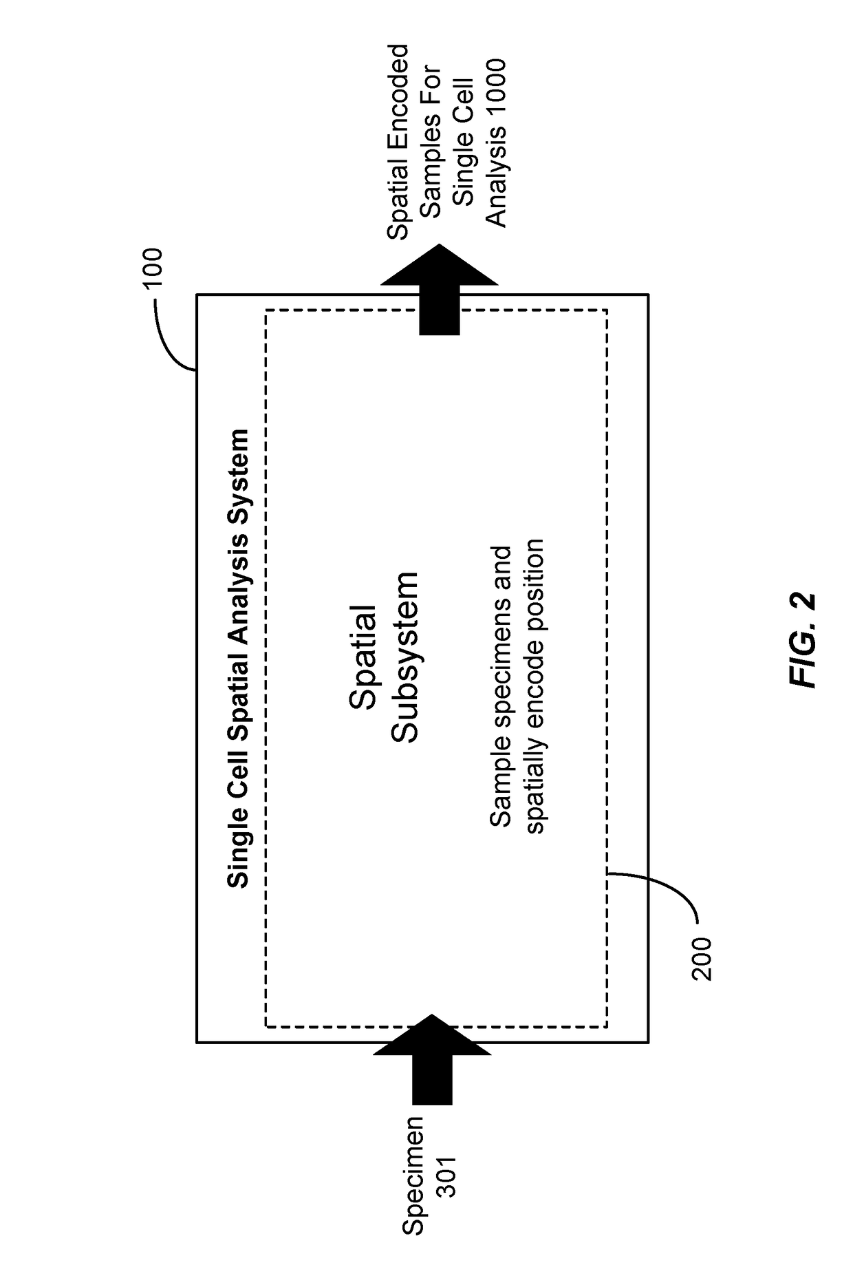 Method and apparatus for encoding cellular spatial position information