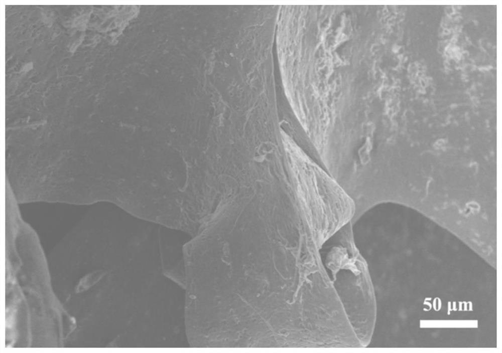 High-linearity conductive coating sponge piezoresistive sensor and preparation method thereof