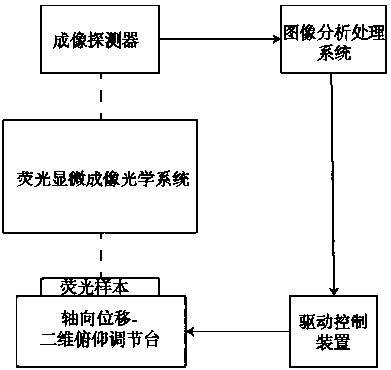 Focusing method and device for fluorescence microscope system