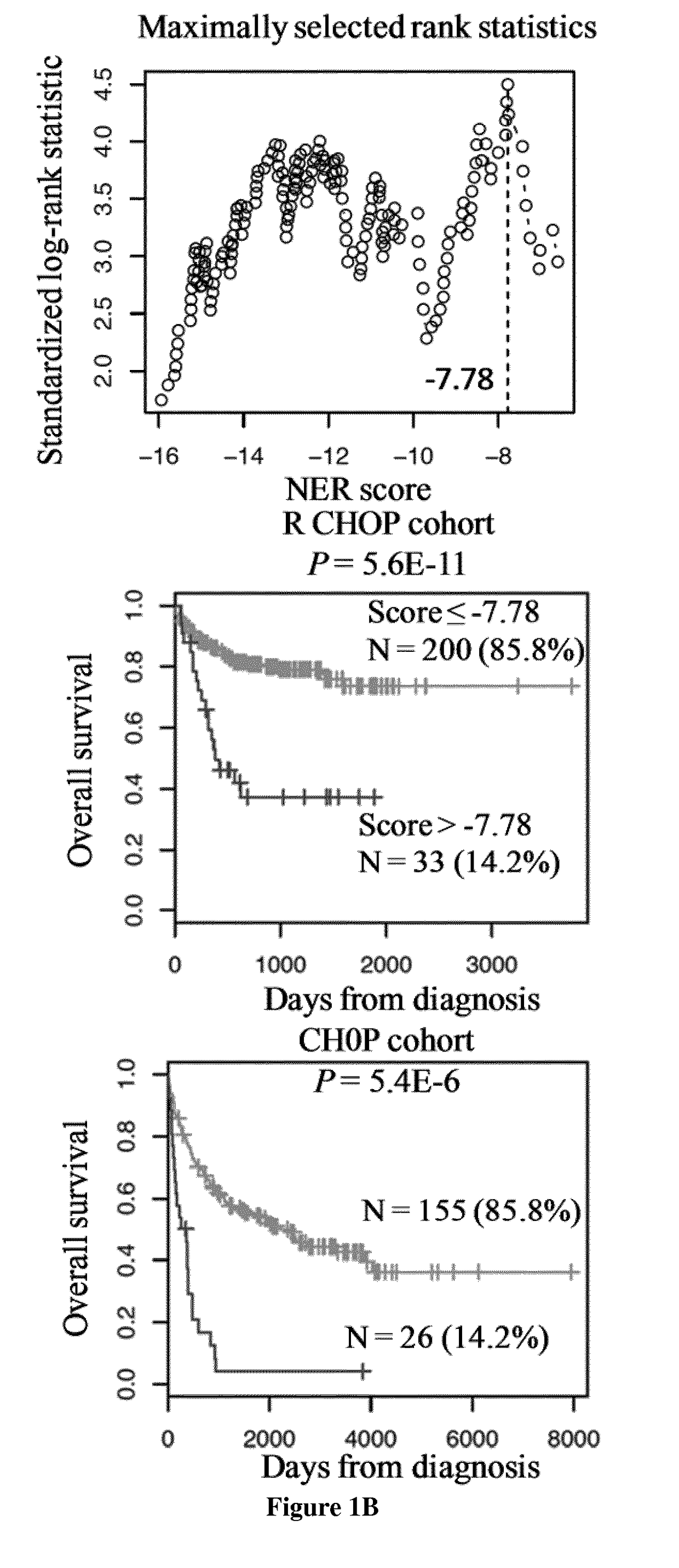 Methods for predicting response to DNA repair pathway inhibitors in diffuse large b-cell lymphoma