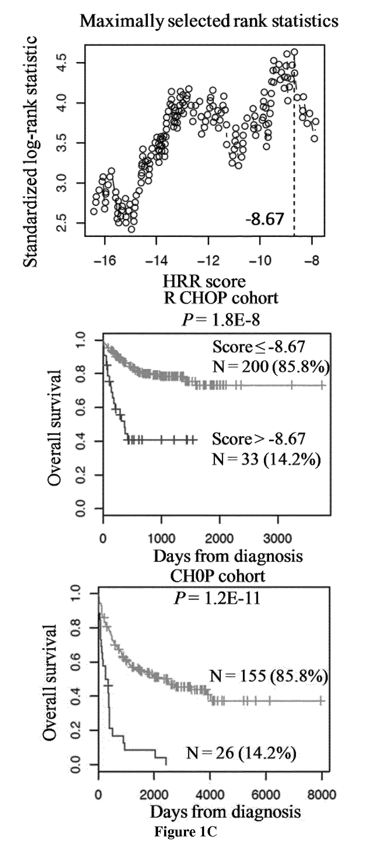 Methods for predicting response to DNA repair pathway inhibitors in diffuse large b-cell lymphoma