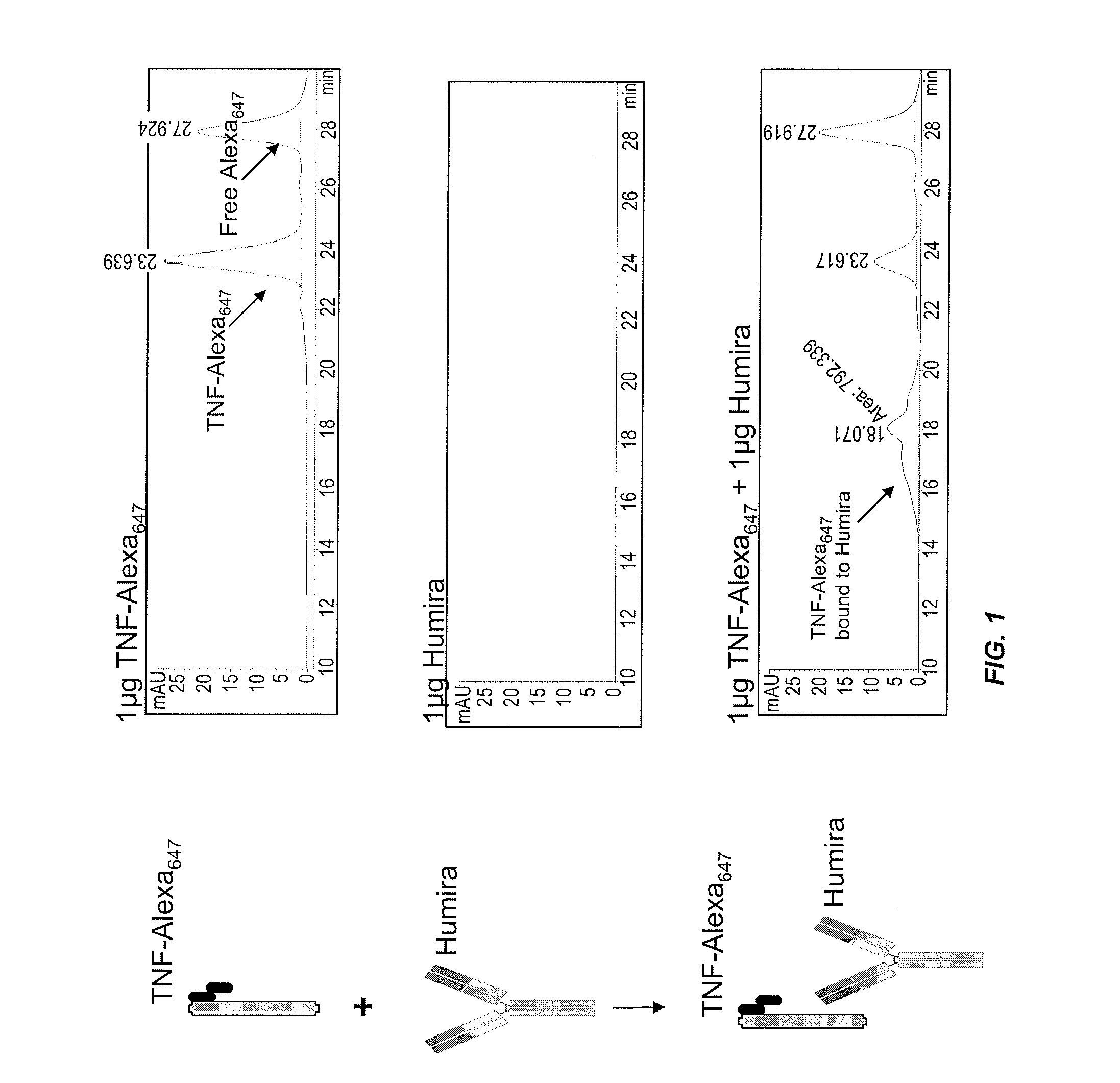 Assays for detecting autoantibodies to Anti-tnfalpha drugs