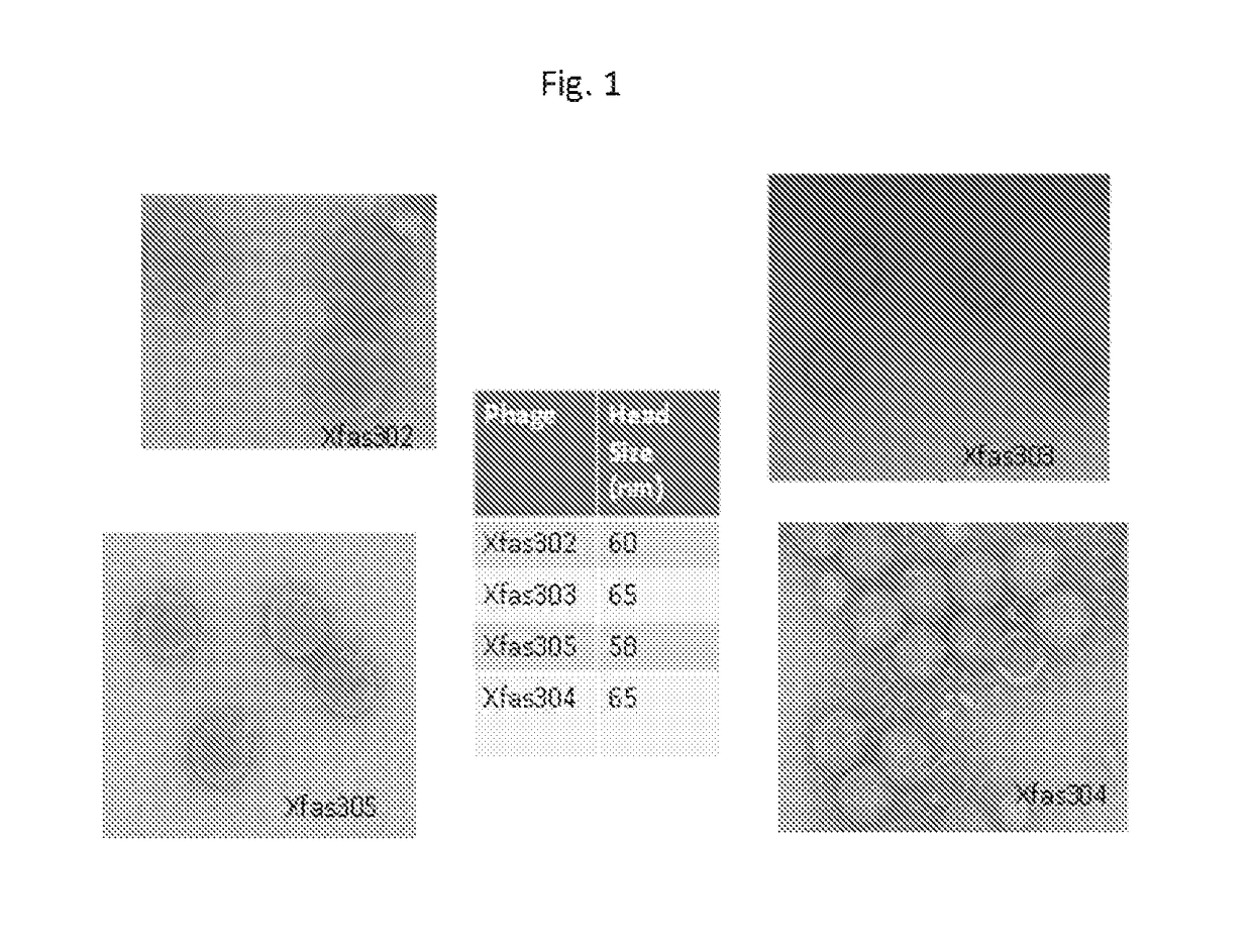 Method for treatment and control of plant disease